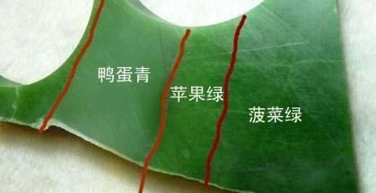 海洋碧玉什么颜色最好,碧玉中哪种绿价值高