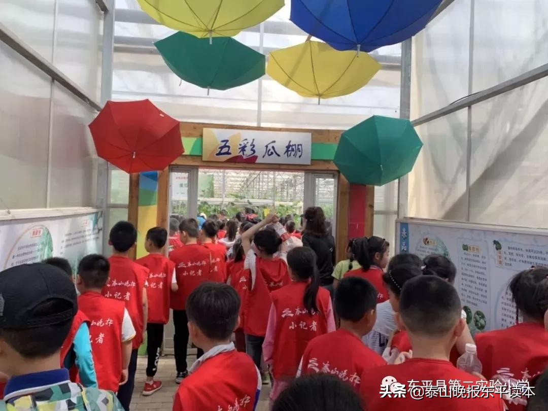 二年级小记者活动,小记者实践活动收获