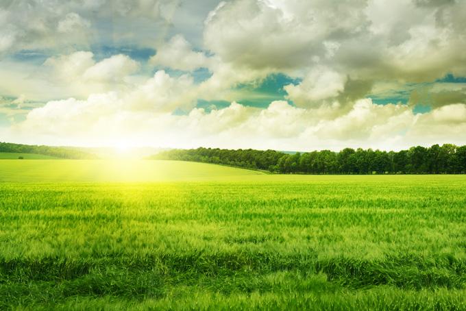 南昌市足球幼儿园,2021年全国足球特色幼儿园示范园