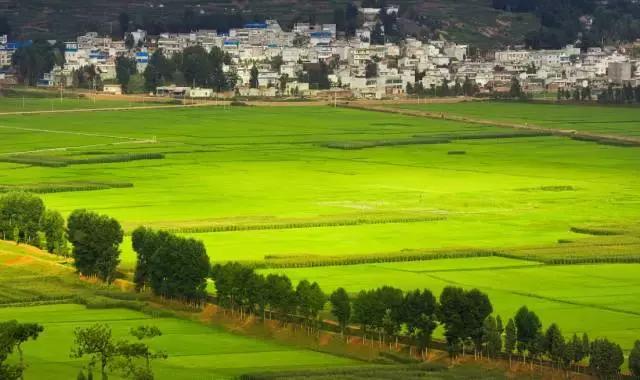 城市人的生活vs农村人的生活,农村人的田园生活是充实的