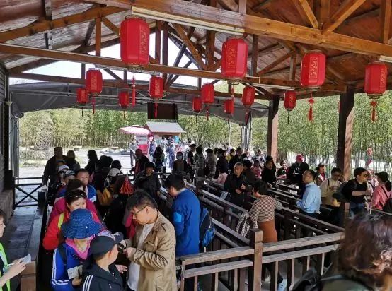 不负假期不负青春,不负韶光享受春日