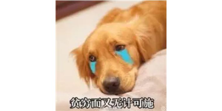 单身要交税的国家,单身要交税的国家有哪些