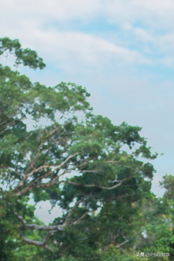 合成必学神技抠图,太神奇了一键抠图还能这样设置