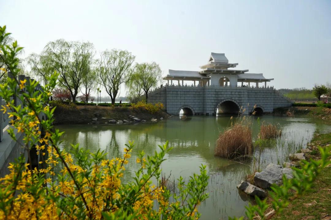 4月的正确开启方式,四月怎么开荷花