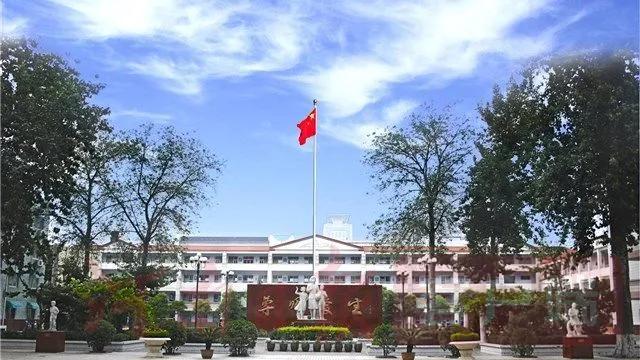 郑州金水区文化绿城小学有多难进,郑州金水区的所有公立小学