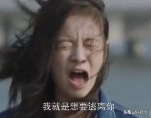 道之尊德之贵,道之尊德之贵出自哪里