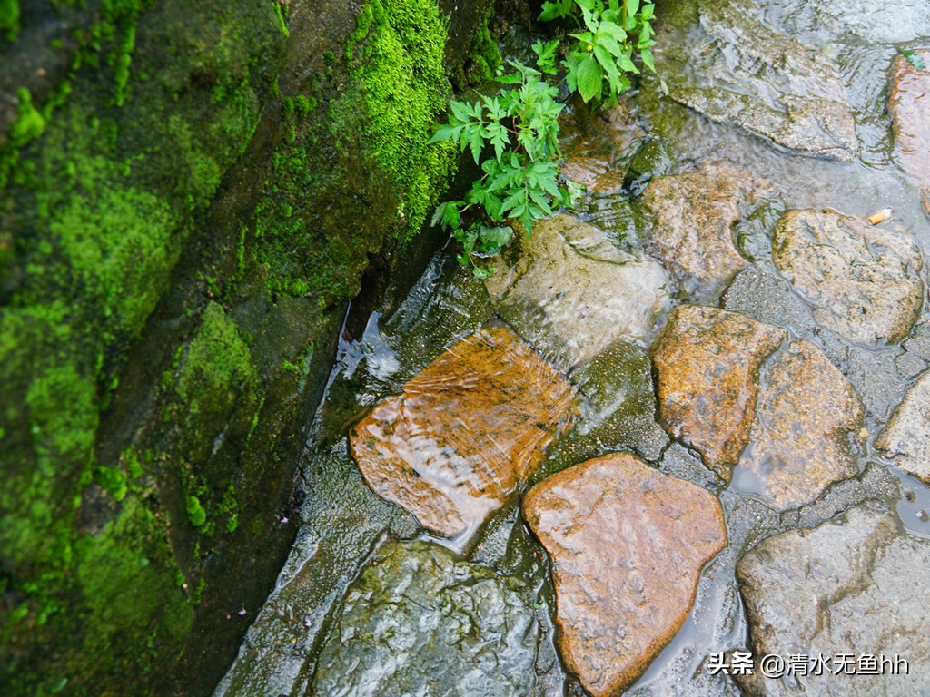 铁马冰河入梦来是什么意思,铁马冰河入梦来的上一句是什么