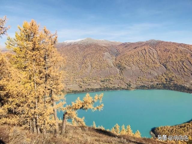 前夫出轨两年后找我复婚了怎么办,求前夫原谅复婚