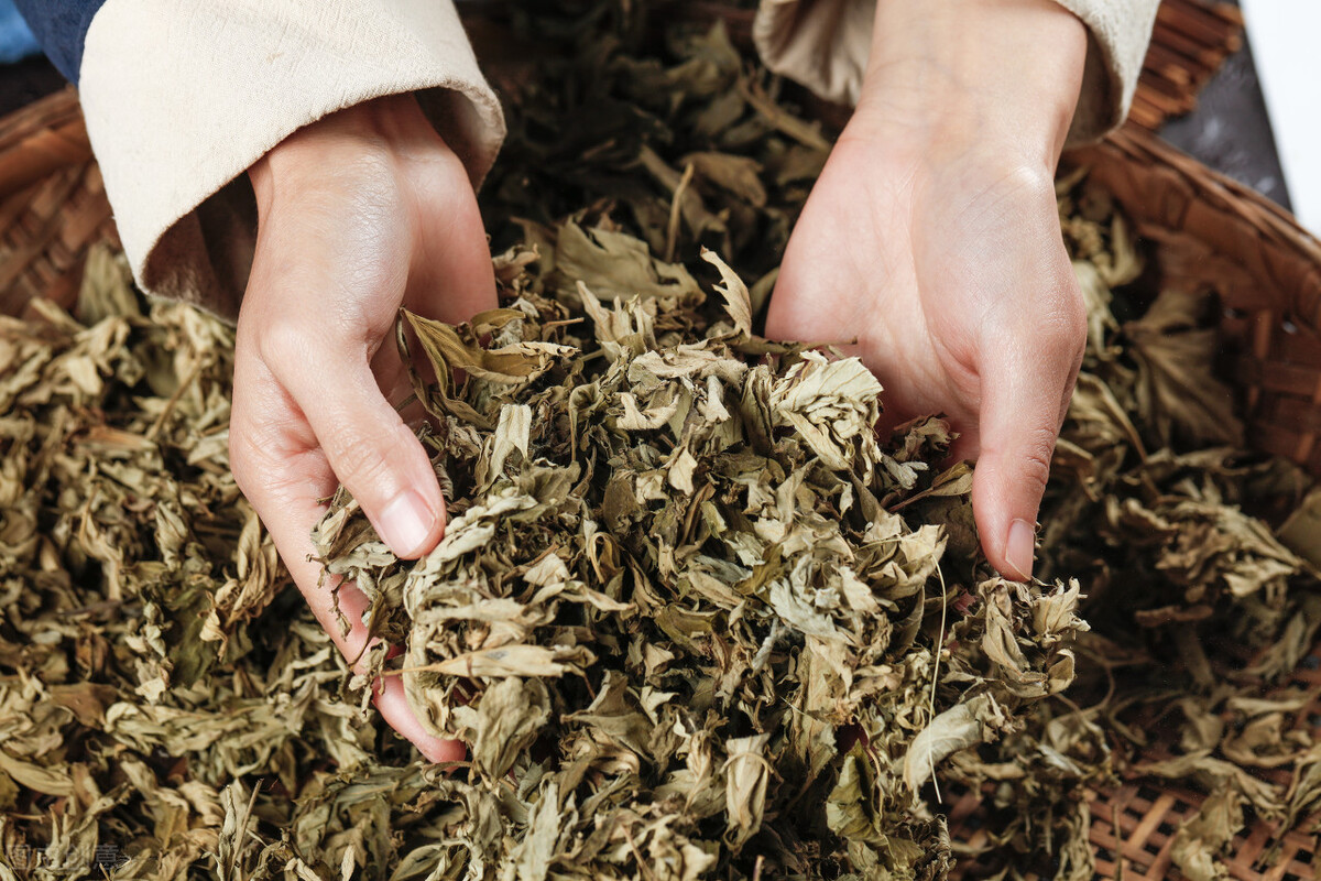 治疗阴囊湿疹，我坚持三不原则，只是怕病人血汗钱污了我的白衣裳