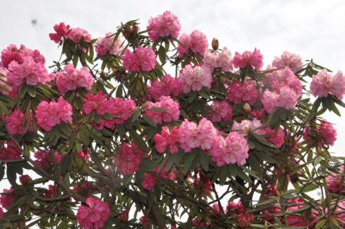 美得让人窒息的诗词,美得让人窒息的唐诗宋词