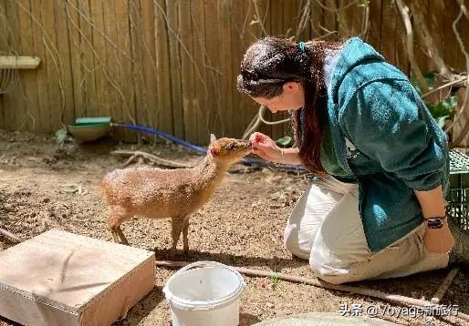 暑期出境游推荐,暑假适合去的国外旅游