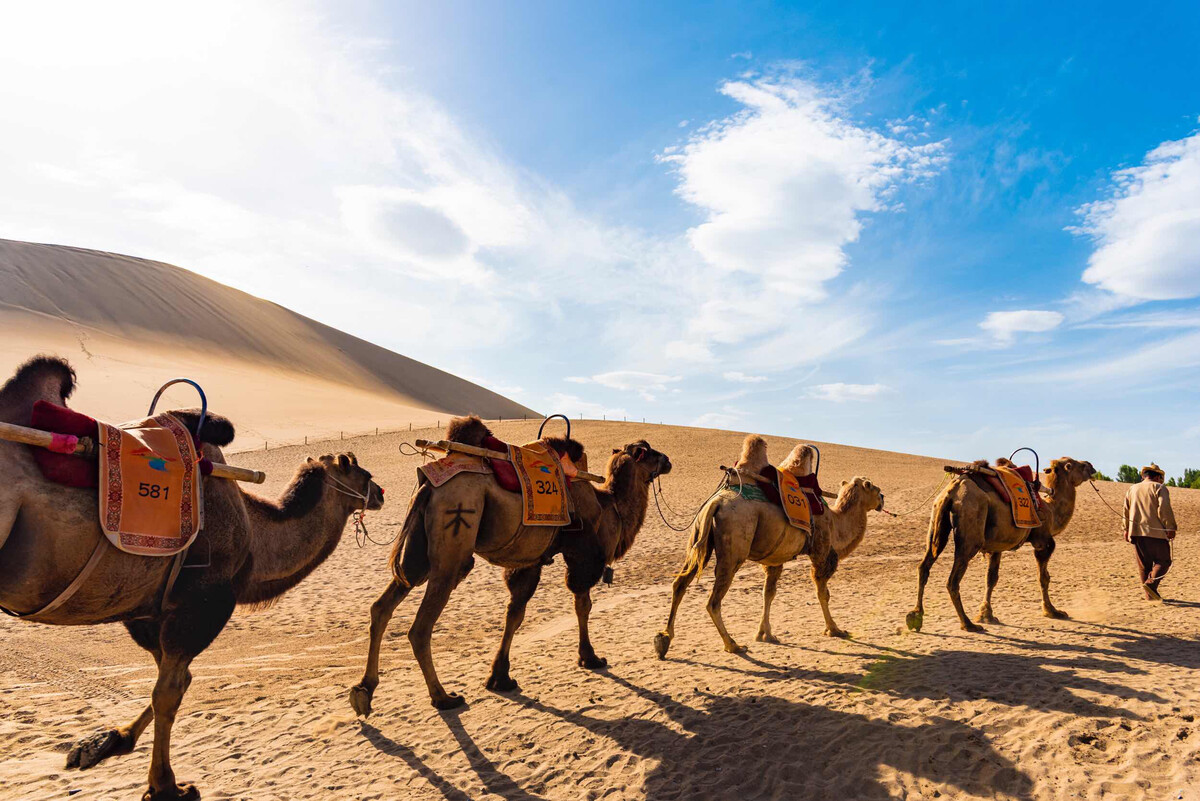 中国地缘有什么优势,中国巨大地缘优势