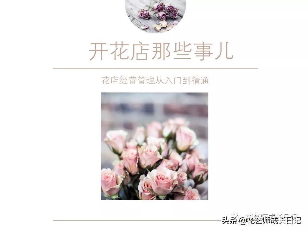 玫瑰花从1到99朵的花语是什么,1到19朵玫瑰花语是什么
