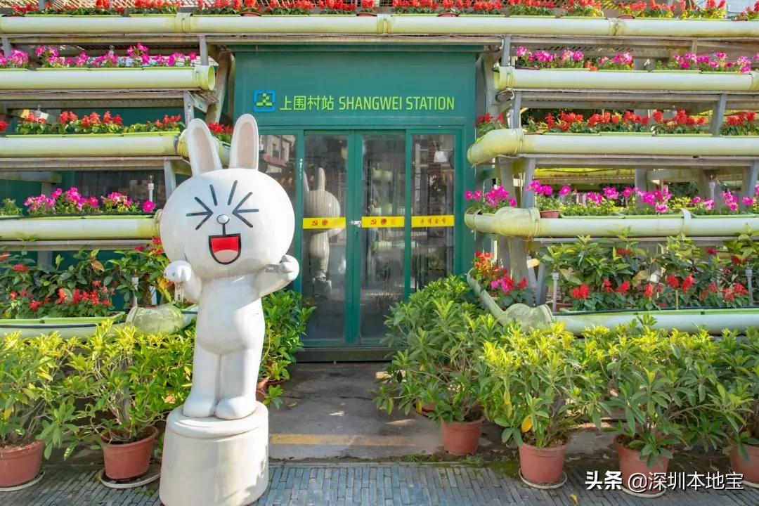 深圳完全免费的十大景点,深圳10大免费景点上集