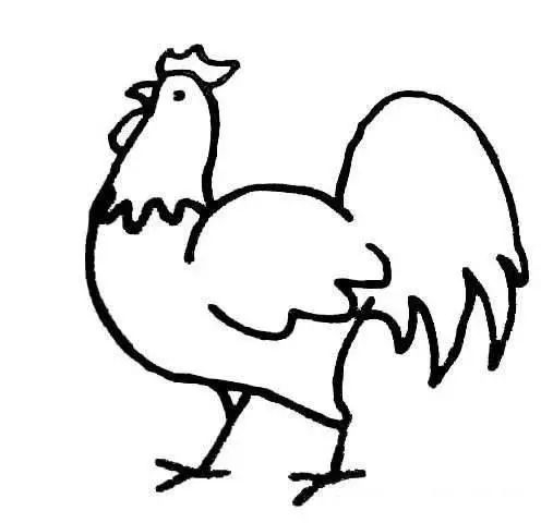 属马的适合戴什么生肖的手串,本命年戴什么生肖手串