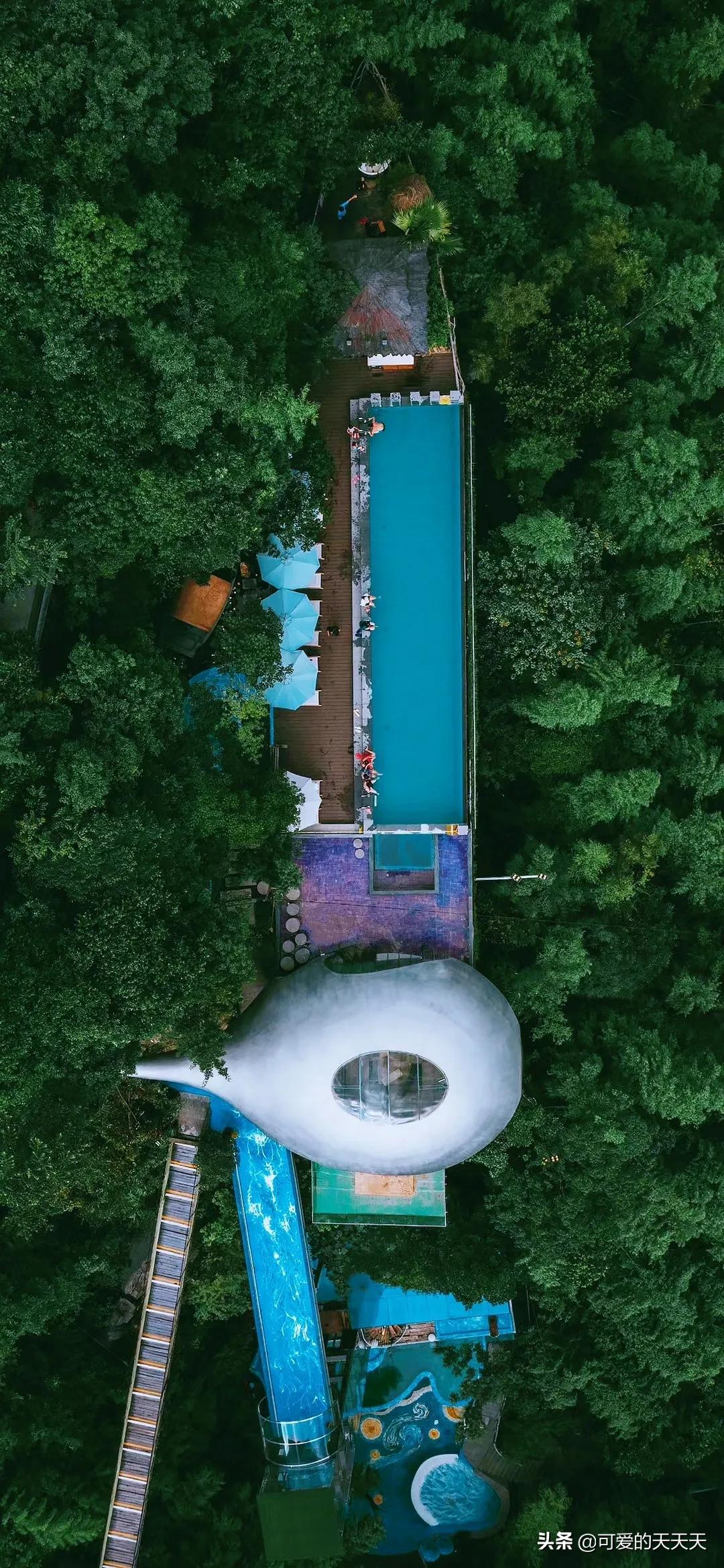 郴州莽山森林温泉图片高清,郴州莽山网红无边温泉