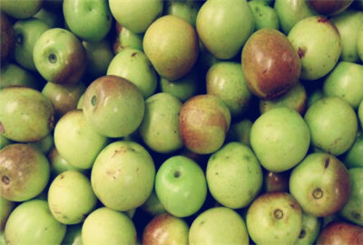 青枣开花挂果的秘诀,青枣开花落果不结果怎么办