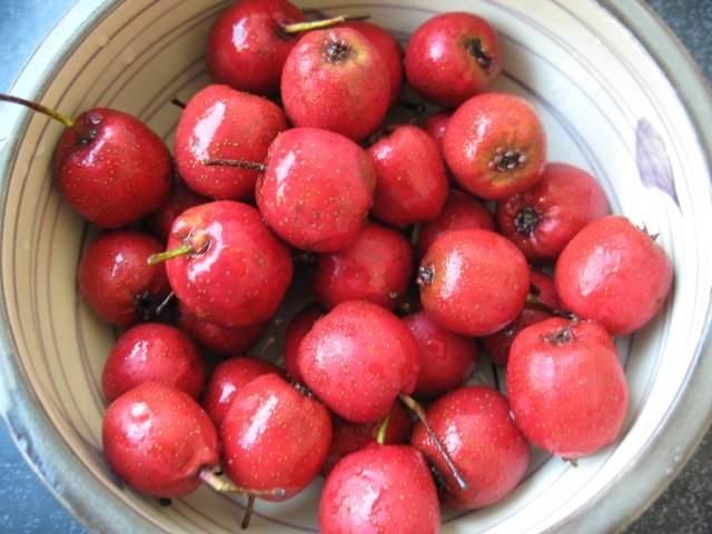 甯︾孩瀛楃殑姘存灉鍚嶇О澶у叏,甯︾孩瀛楃殑姘存灉