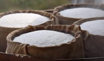 那些异国情趣SPA怎么这个亚子？