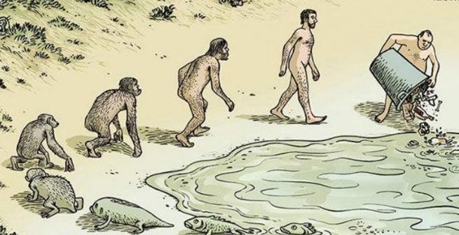 熊猫的外形和习性有趣之处,熊猫的特点和样子和习惯