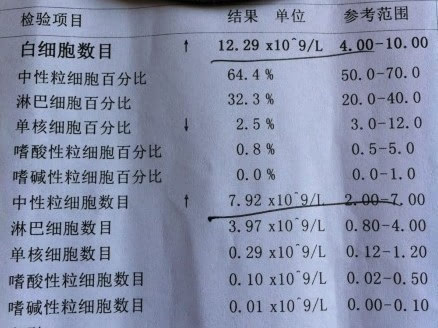 白细胞低和白细胞偏高的原因区别,白细胞升高临床意义是什么