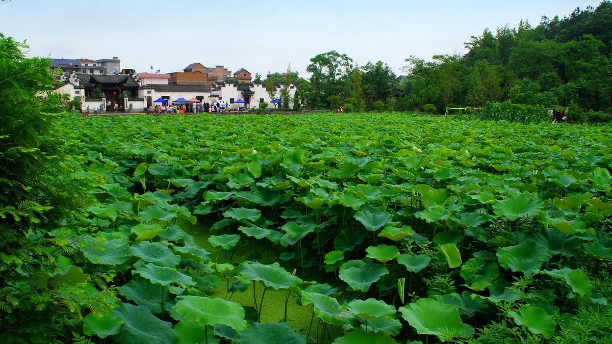 浙江江山最美古村落,浙江江山5a级景点是哪里