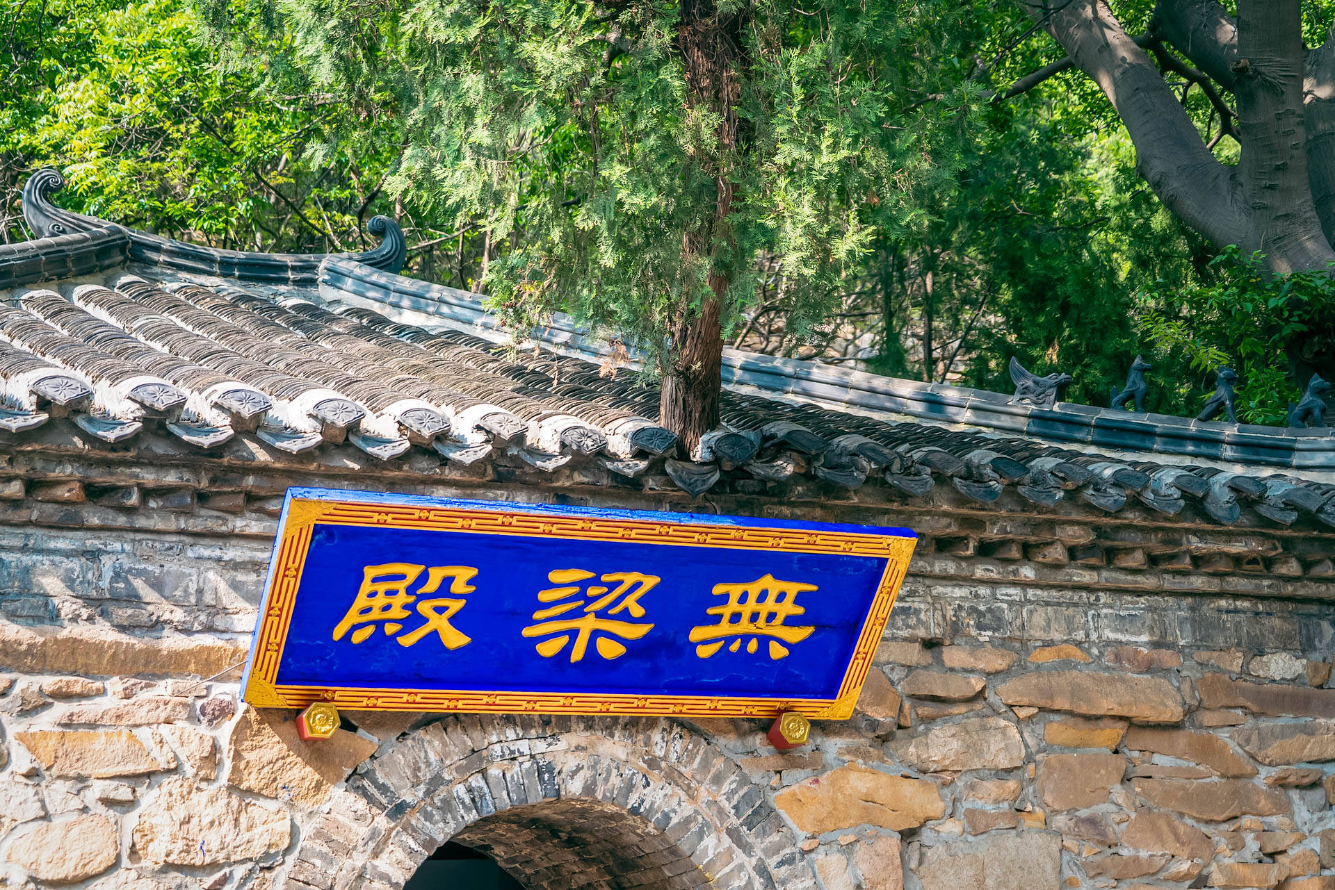 龙口锡青铜大坐佛,龙口全国第一大铜佛