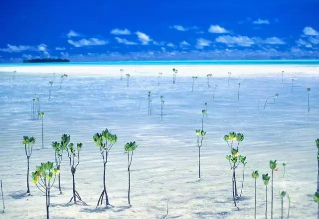 蜜月旅行就去这些海岛你值得拥有,10个最适合蜜月旅行的海岛