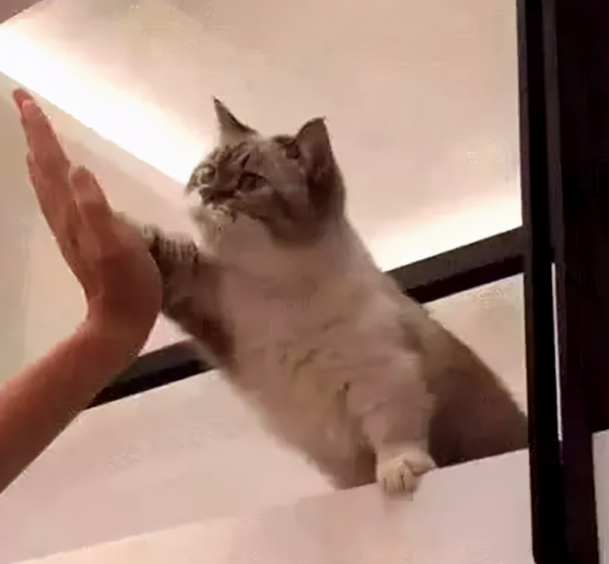 2020年大牌流行口红色号,2019爆款口红色号