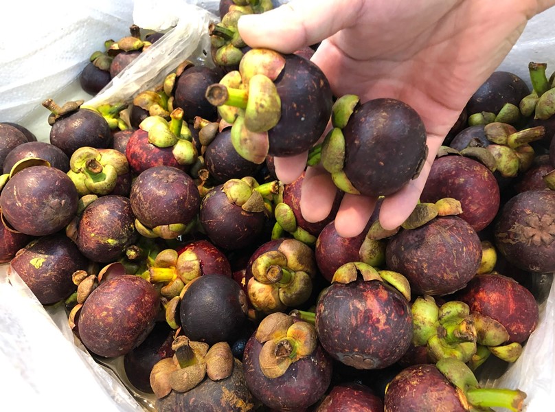 三伏天碱性水果正当季有哪些,三伏天来临这3种水果最好