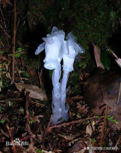 人死后三魂七魄归于何处,人死后是三魂归天七魄归地吗