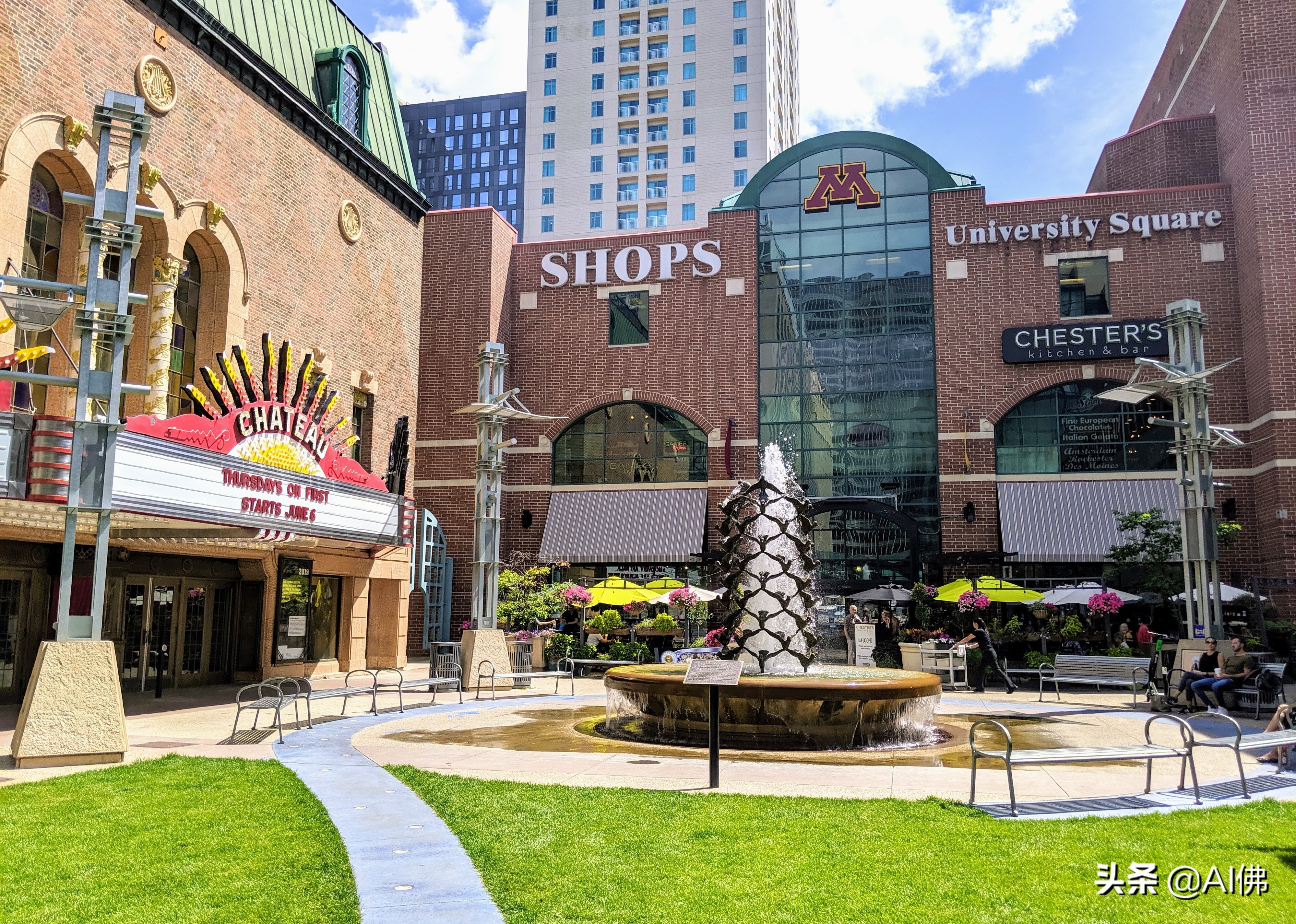 美国东部公立大学排行榜,美国各州最好的公立大学