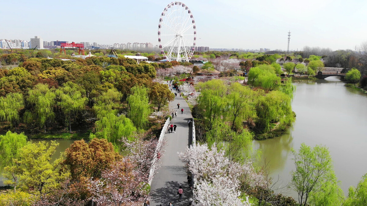 顾村上海院子别墅房价,上海顾村上等房源