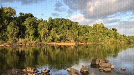 如果电鳗在一千年前灭绝了,电鳗灭绝你还能知道它会放电吗