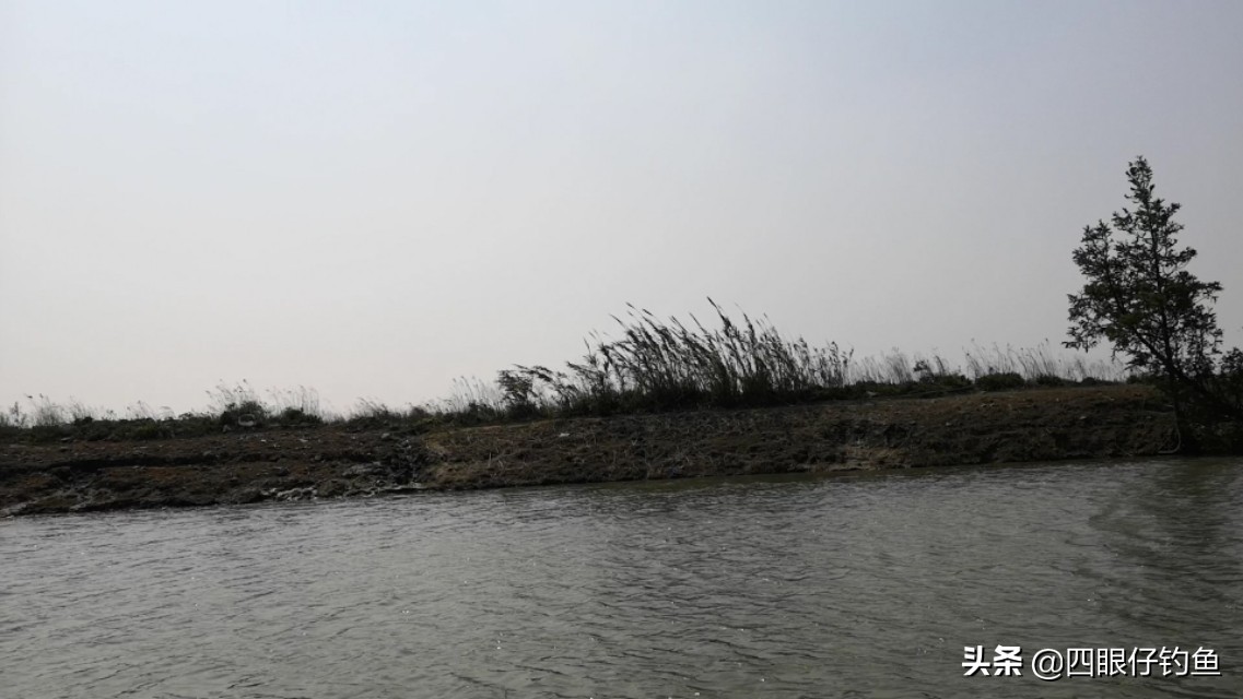 为什么说西北风不好,西北风为什么不敢钓鱼