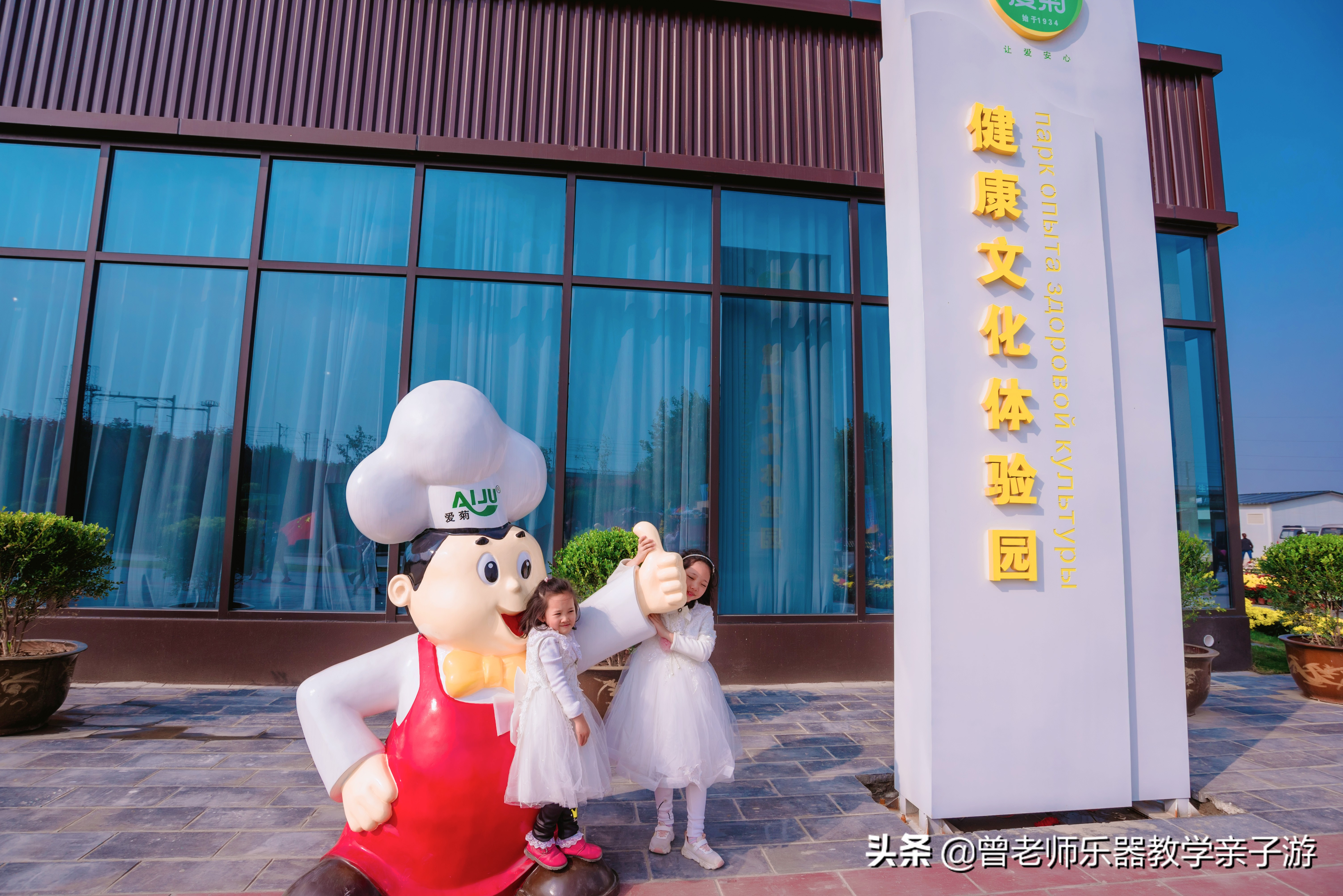 爱菊研学游,爱菊丝路文化菊花园西安