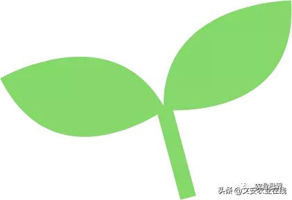 专治大豆病虫害的药,大豆害虫点蜂缘蝽防治方法