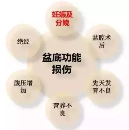 为什么2胎耻骨分离耻骨还特别痛,耻骨疼耻骨分离是要快生了吗