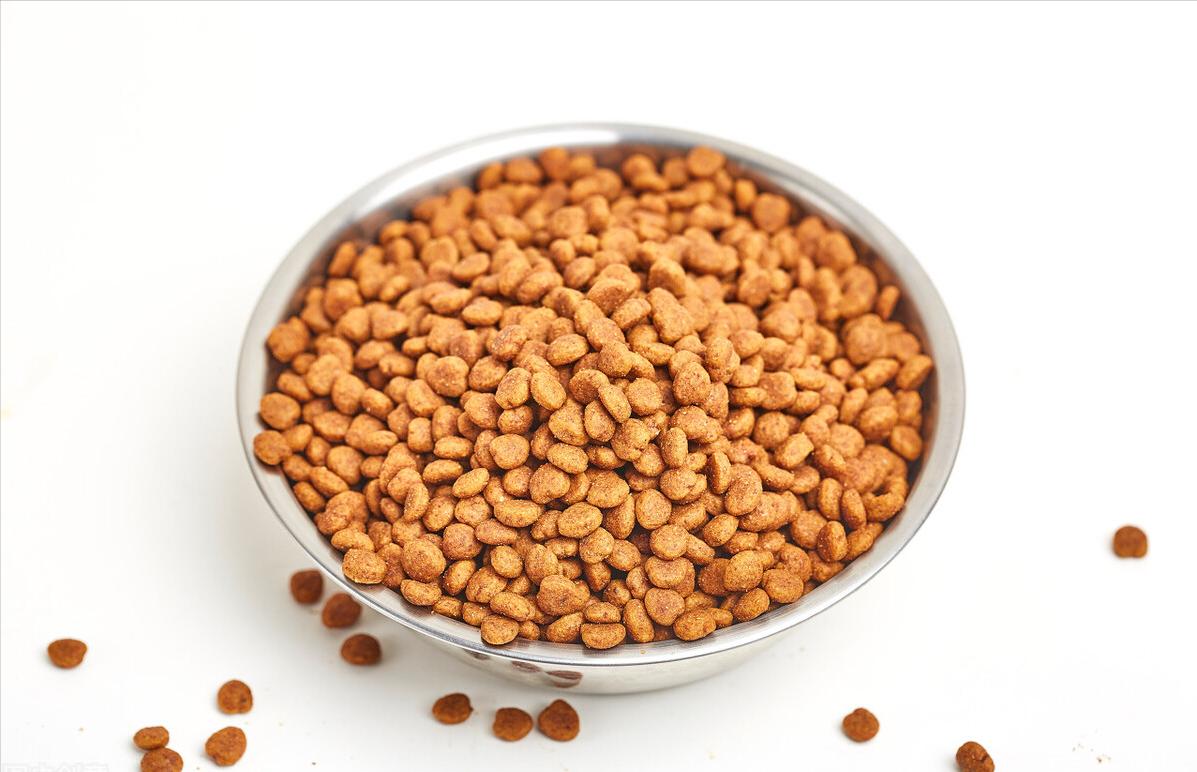 养罗威纳的十大危害你还敢养吗,哪种罗威纳最好养