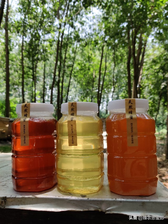 中蜂蜂蜜市场前景分析,蜂蜜行业发展前景及其风险