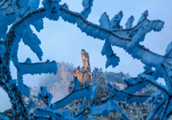 峰花雪月个人抖音,风花雪月