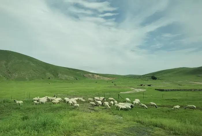 锡林郭勒草原冬天骑马,锡林郭勒盟大草原骑马