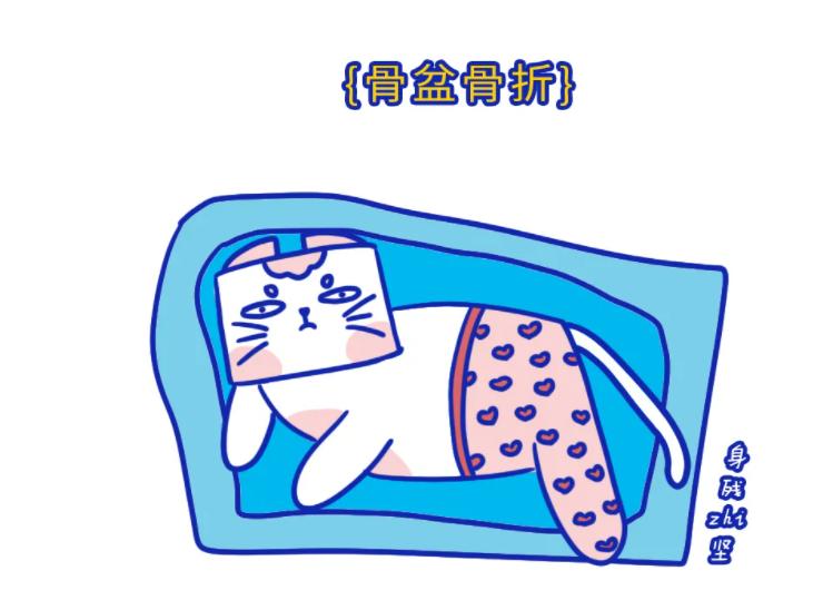 怎么判断小猫咪骨折,小猫咪脊椎受伤最佳恢复方法