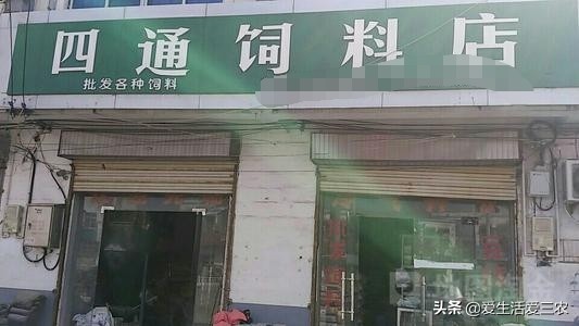 适合农村上班的副业,还有哪些适合普通人的工作