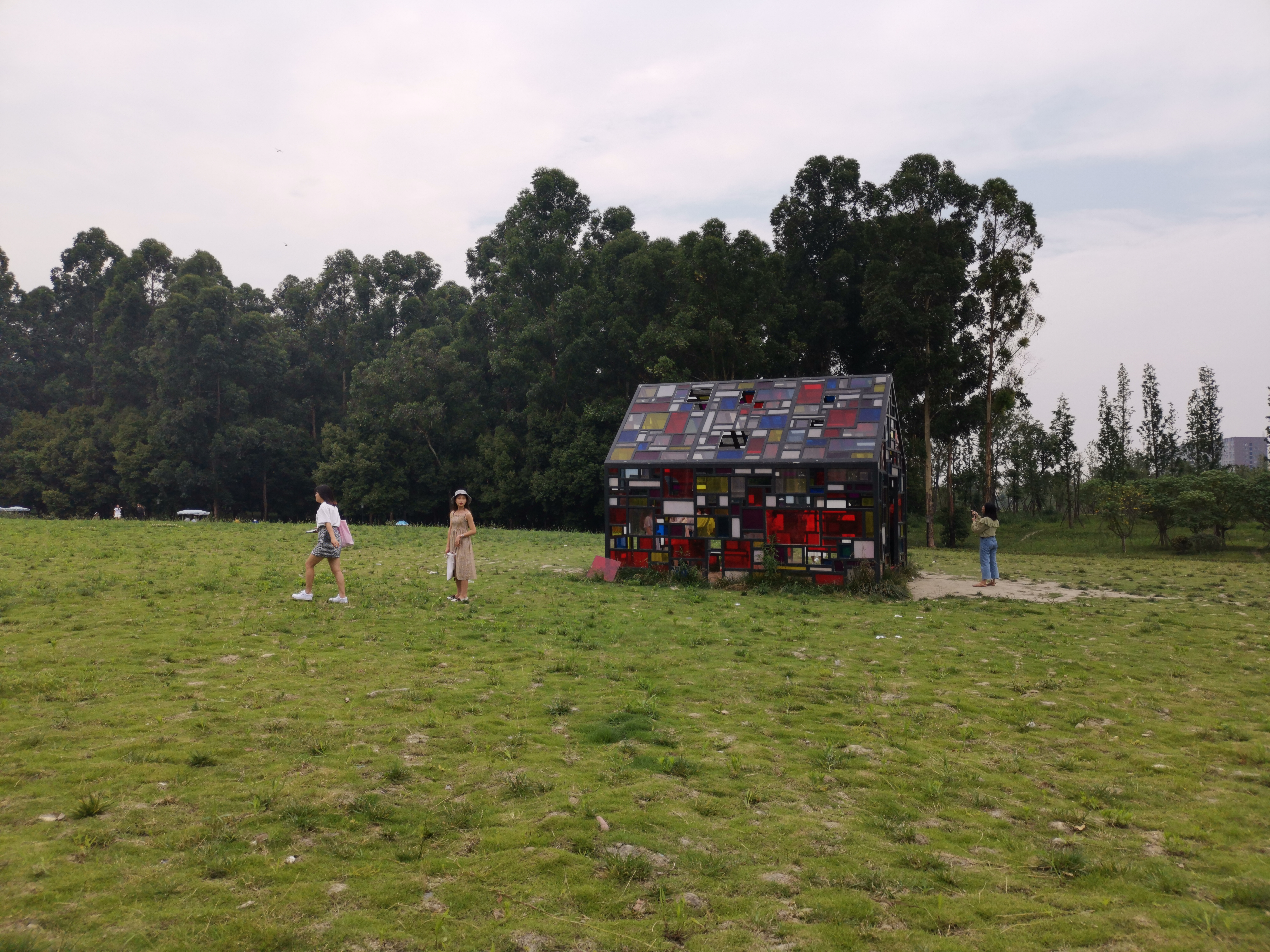 向日葵花海成都8月,成都向日葵花海几月有花