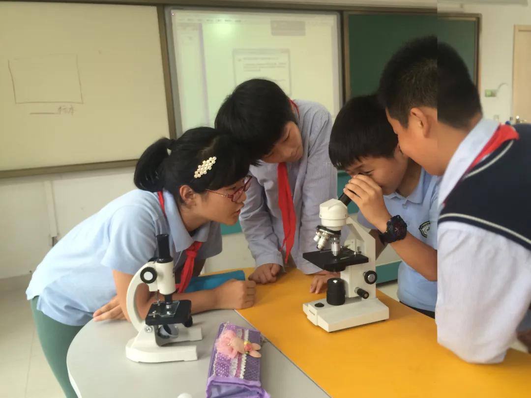 南京市金陵小学南京排名,南京市金陵小学2017