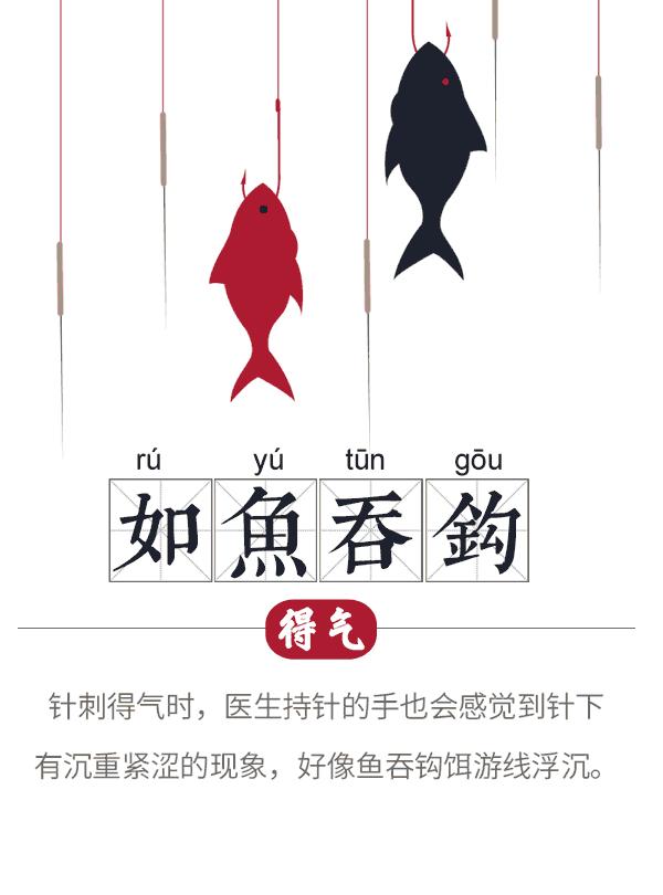 中医把脉的原理是什么动画,中医如何把脉看病图解