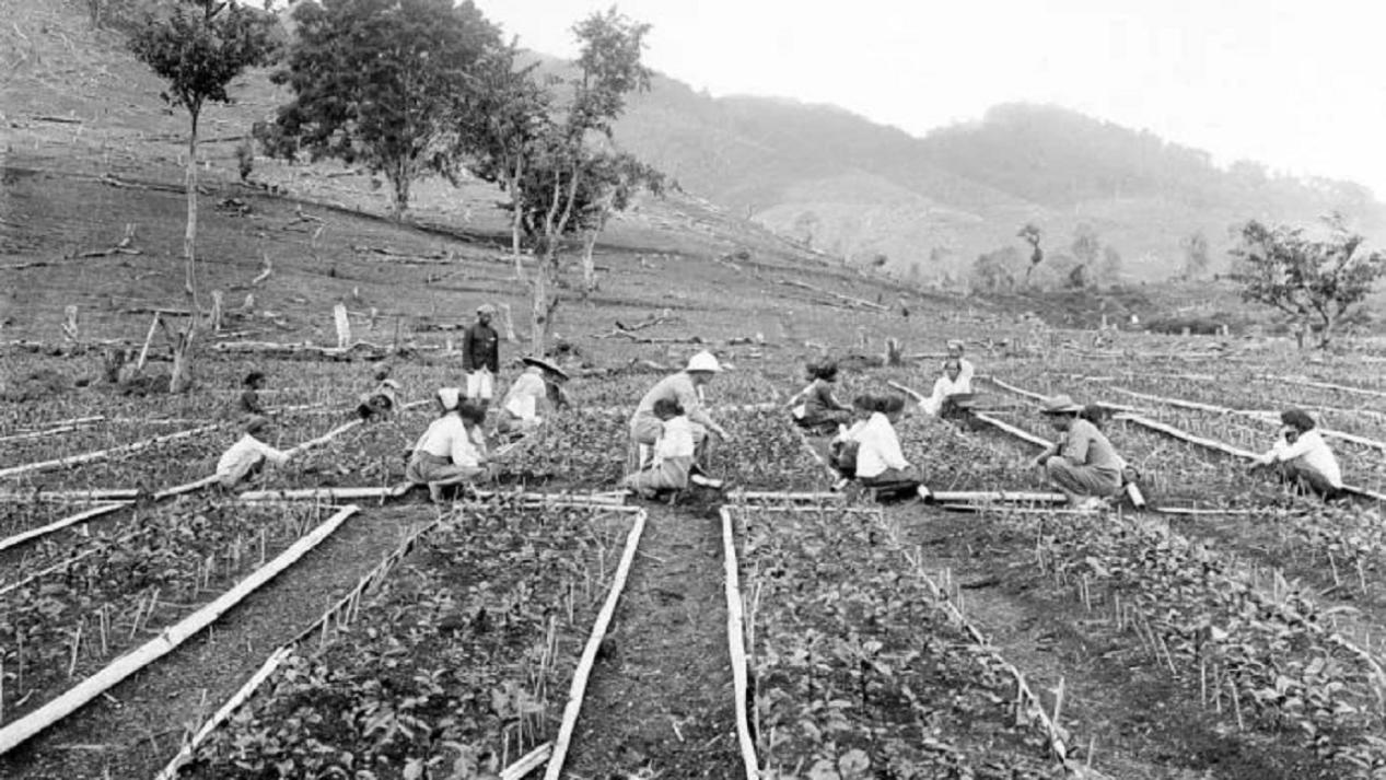 日军大规模得脚气病,日本脚气病历史