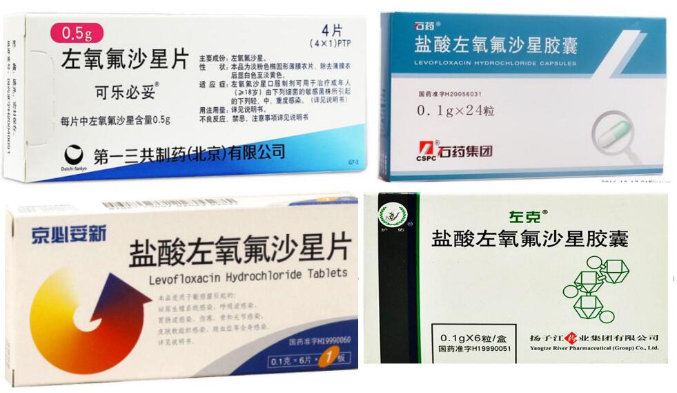 左氧氟沙星说明书修订,左氧氟沙星胶囊的说明书图片