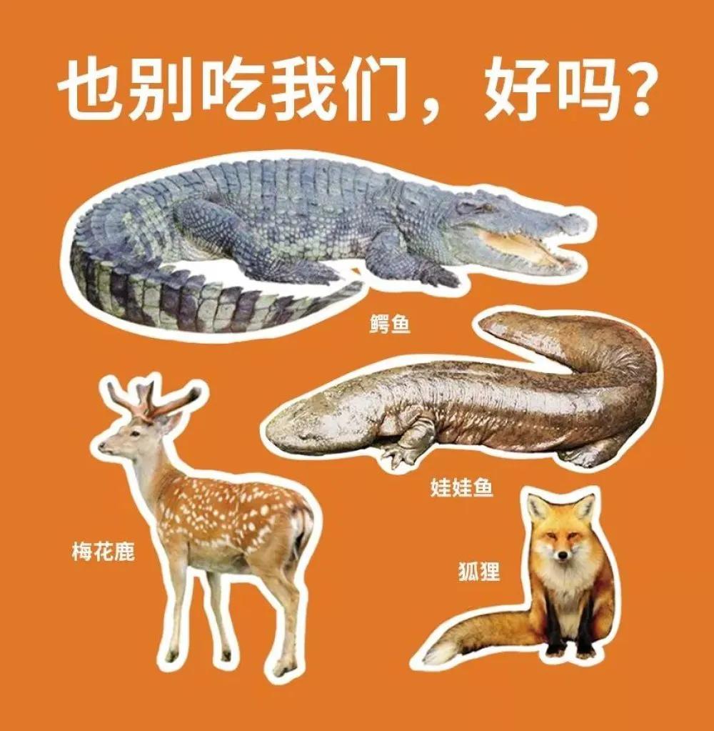 钦州动物园有何野生动物,哪些动物属于野味